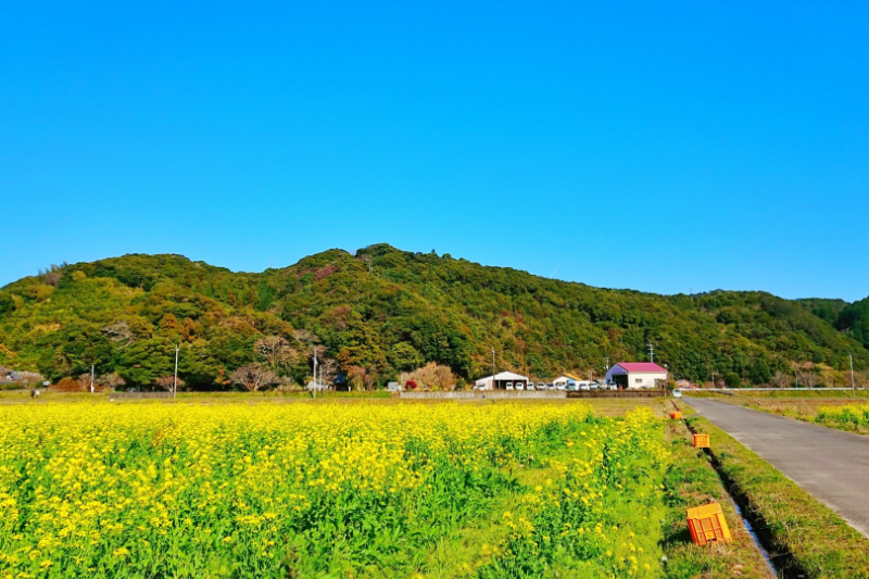 低廉（ていれん）な空き家の仲介手数料の特例