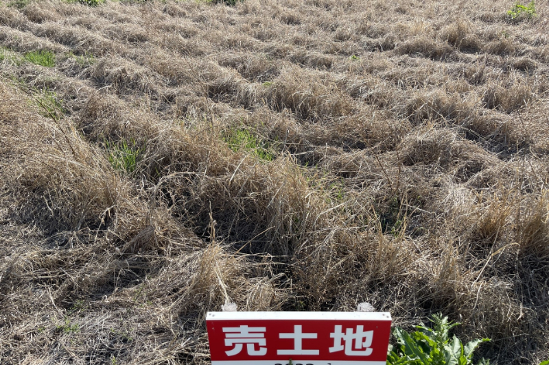 相続した土地が売れない主な原因