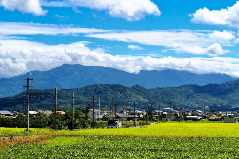 田んぼのまま売却する流れ